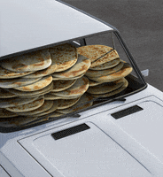 sashakatz sasha katz GIF