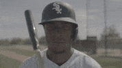 Major League Baseball GIF by MLB