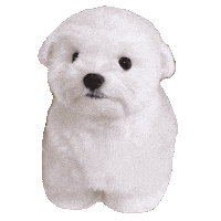 Dog 犬 Sticker