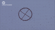 bugs cereal GIF by NowThis 