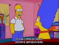 homer simpson GIF