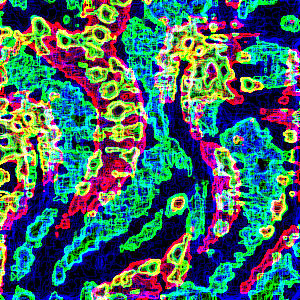 balazsvarga giphyupload trippy psychedelic color GIF