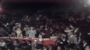 bien hecho jose jose GIF
