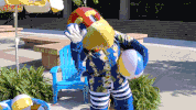 rockchalk jayhawks GIF by kualumni