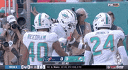 Miami Dolphins Football GIF by NFL