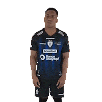 Football Sport Sticker by INDEPENDIENTE DEL VALLE