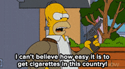 the simpsons news GIF
