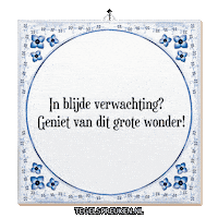 Humor Wonder Sticker by Tegelspreuken.nl