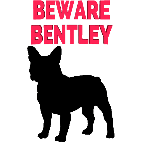 Beware French Bulldog Sticker by Homeless Penthouse