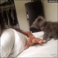 Wirujące GIF