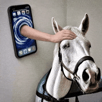 mimmilofstrand love dog yes nice GIF