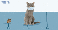 GIF by European Consumer Centre Poland