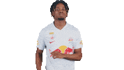 Football Sport Sticker by FC Red Bull Salzburg
