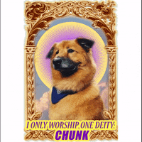 GIF by Chelsea Handler