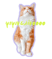 Cat Sebastian Sticker