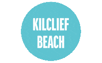 Summer Swimming Sticker by Rockshore