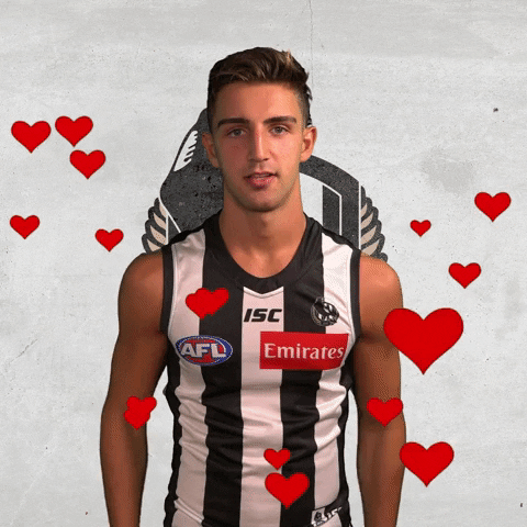 pies magpies GIF by CollingwoodFC