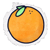 Orange Fruit Sticker by Kev Lavery