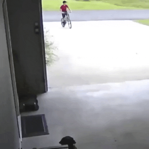 leninja giphyupload GIF