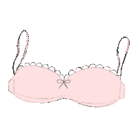 quitanp pink underwear bra laundry Sticker