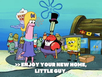 season 6 pet or pets GIF by SpongeBob SquarePants
