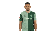 Werder Bremen Sticker by Bundesliga