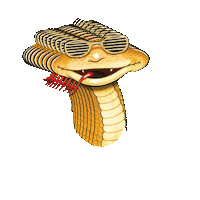 Gold Cider Sticker by Rattler Cyder
