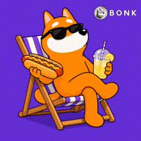 Crypto Usa GIF by BONK