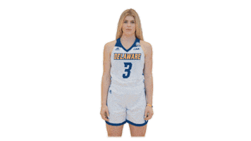 Basketball No Sticker by Delaware Blue Hens