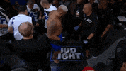 brock lesnar ufc GIF