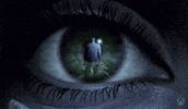 Eye Reflection GIF by Xbox