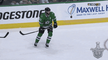 happy ice hockey GIF by NHL