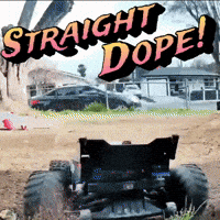 Peel Out GIF
