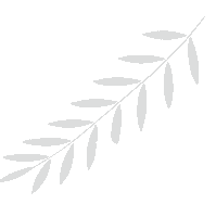 peihan plant leaf leaves 葉 Sticker