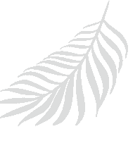 peihan plant leaf leaves shadow Sticker