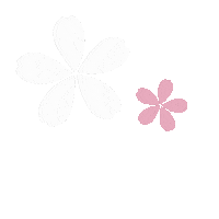 days_cy pink flower sakura bunga Sticker