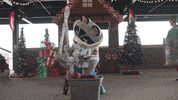 Sprocket Trash Pandas GIF by Rocket City Trash Pandas