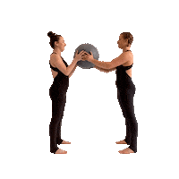 Duo Handstand Sticker by ShellyFLEX