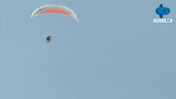 Hertha Berlin Football GIF by MolaTV