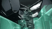 Bruce Ball Hogs GIF by Protect