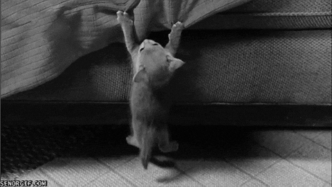 Hanging On Black And White GIF
