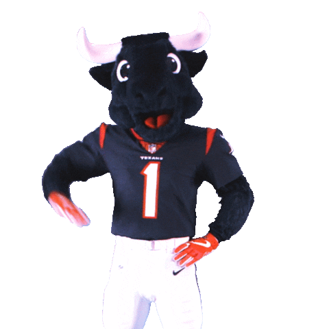 Football Waving Sticker by Houston Texans