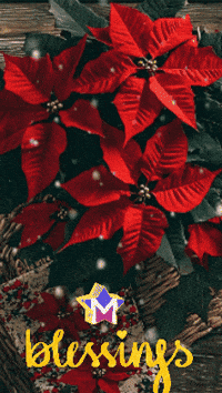 Feliz Flores GIF by Murcianys LLC