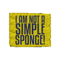 Spongebob Musical Sticker by Selladoor