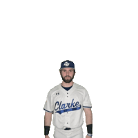 Clarke Baseball Sticker by Clarke University