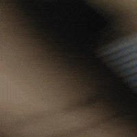 Timothee Chalamet Tchalamet GIF by Respective