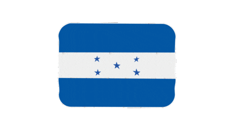 emojivid giphyupload emoji flag honduras Sticker