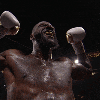 premier-boxing-champions knockout celebration boxing pbc GIF
