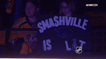 ice hockey GIF by NHL