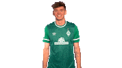 Nick Wolle Sticker by SV Werder Bremen